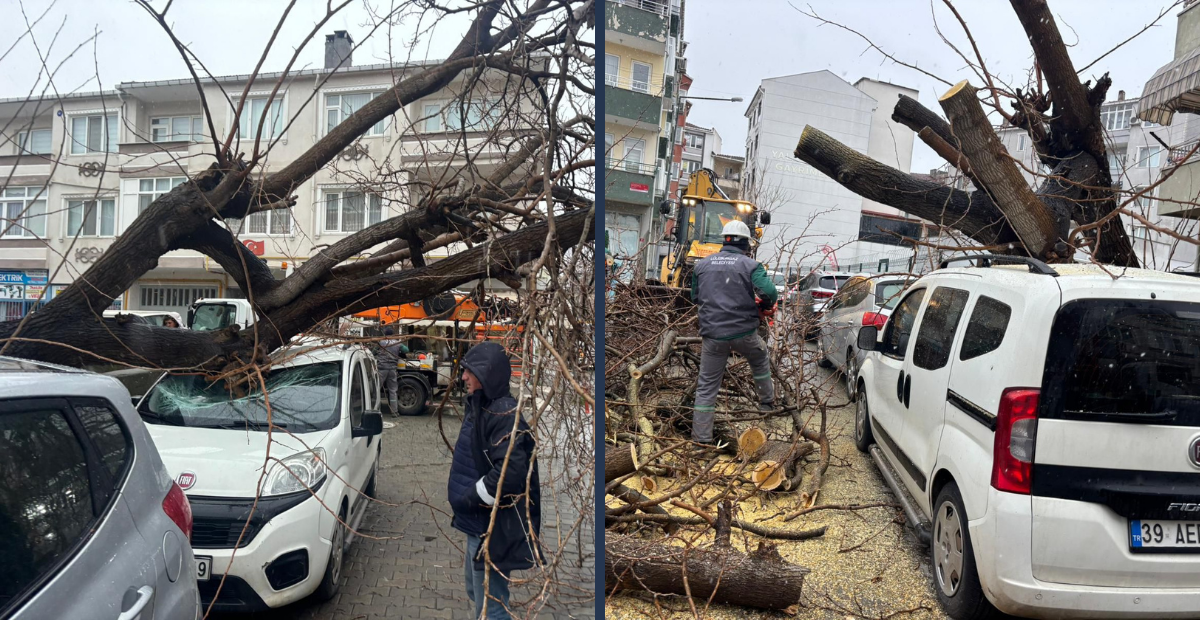 Lüleburgaz’da Fırtına Kabusu! Devrilen Ağaç Otomobilin Üzerine Düştü