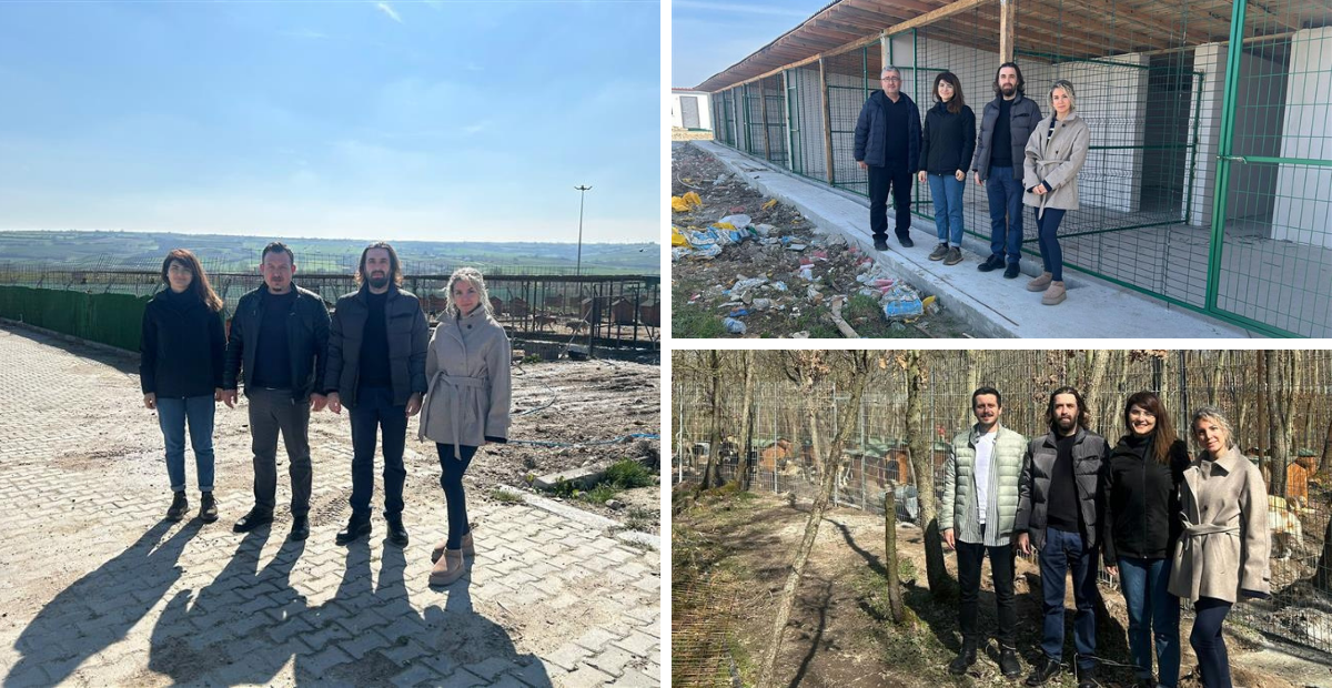 Tekirdağ Barosu Hayvan Hakları Komisyonundan Bakımevlerine Yerinde İnceleme! 3 İlçede Dikkat Çeken Tespitler