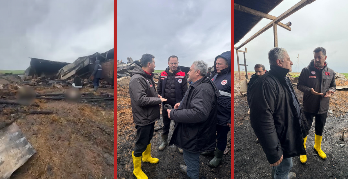 Tekirdağ Ergene’de Felaket Geceyi Aydınlattı: Çiftlik Yangınında 100 Koyun Telef Oldu